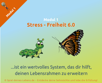 SdL-Modul-1-Stress-Freiheit6.0